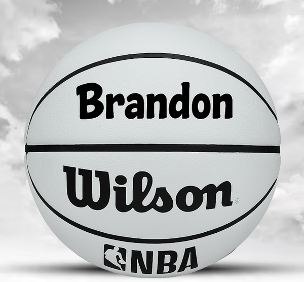 Customized Personalized Wilson Takeoff Indoor/Outdoor Basketball