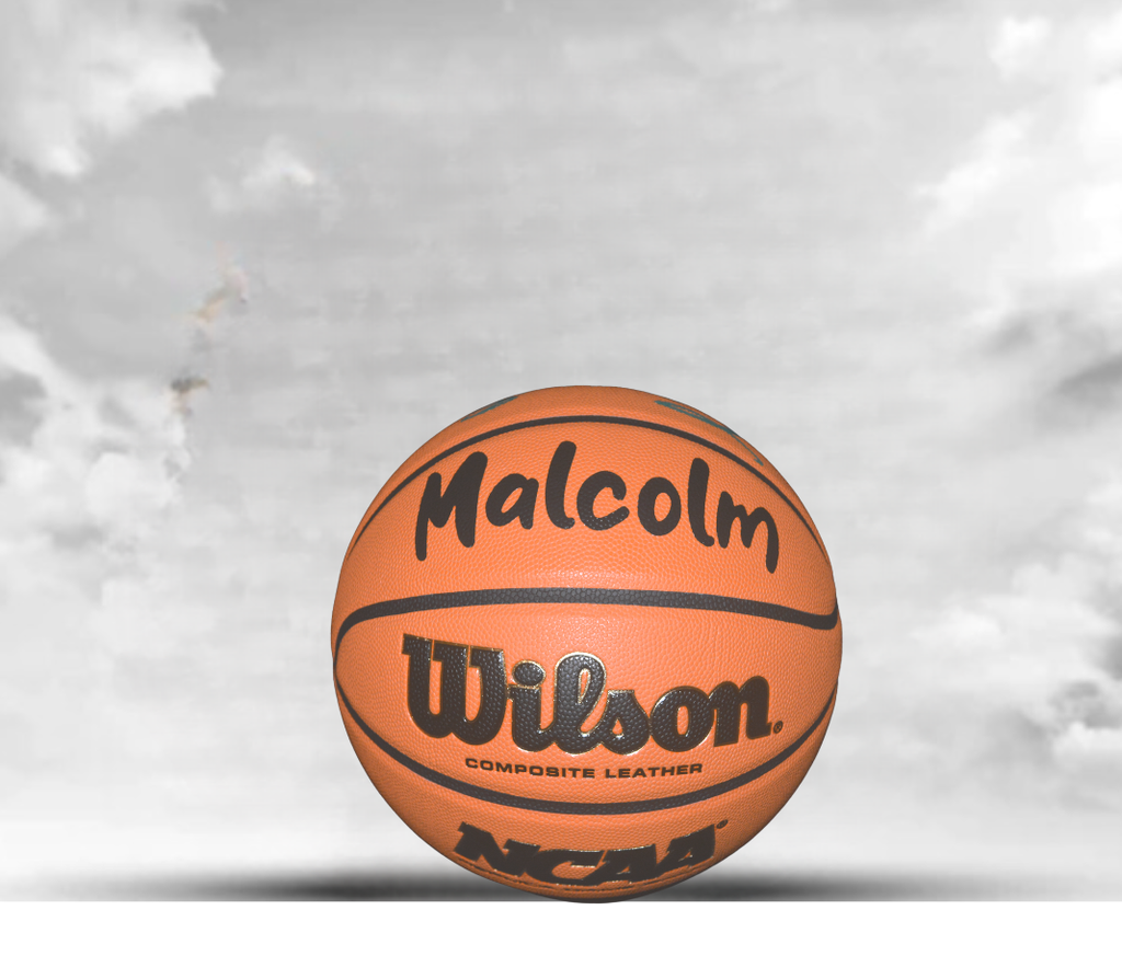 Customized Personalized Wilson Authentic NBA Indoor/Outdoor Game Basketball
