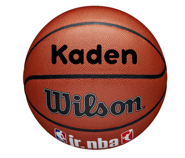 Customized Personalized Wilson Jr NBA Family Indoor/Outdoor Basketball