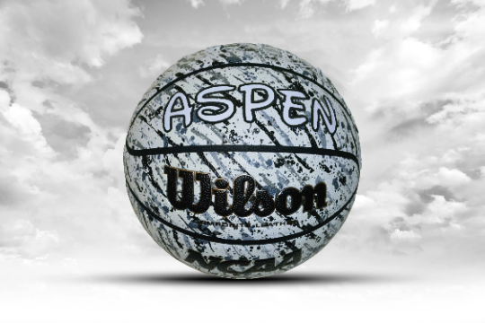 Customized Personalized Wilson NCAA Basketball