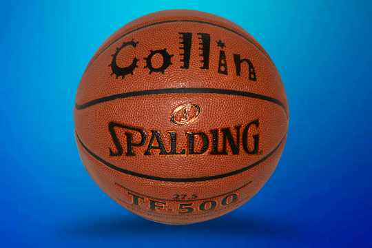 Customized Personalized Spalding TF-500 Basketball