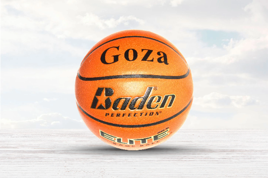 Personalized Baden Perfection Basketball