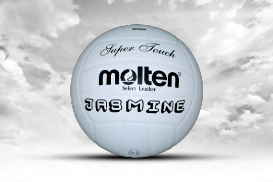 Customized Personalized Molten Volleyball Super Touch Leather