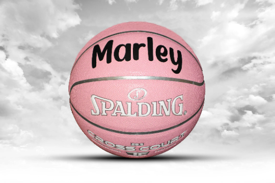 Customized Personalized Spalding Basketball