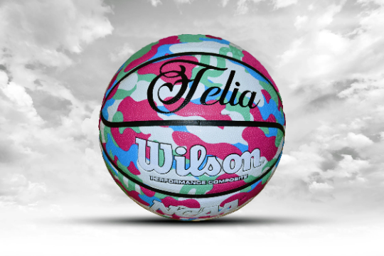 Customized Personalized Wilson Legends Basketball