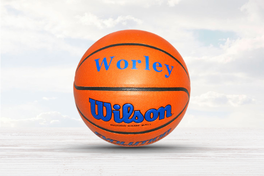 Customized Wilson Evolution Indoor Basketball Royal Blue